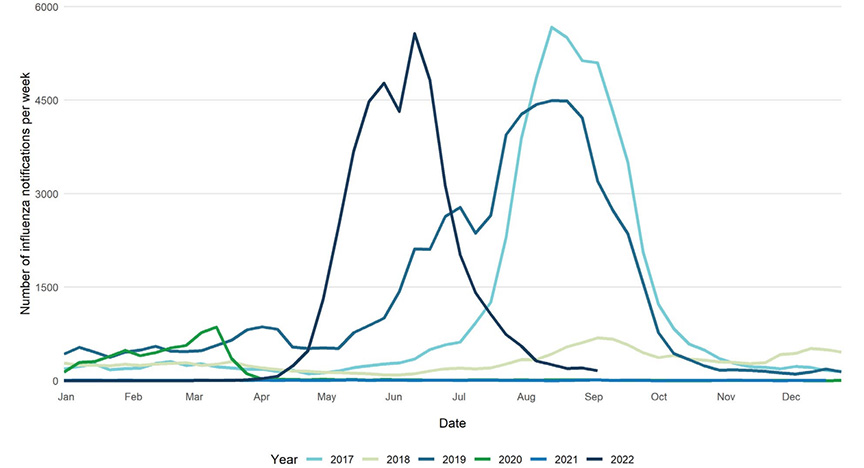 The number of flu cases per year, 2017 – 2022 graph